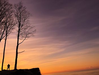 Silhouette of person standing by tree against sky during sunset