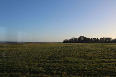 Scenic view of field against clear sky