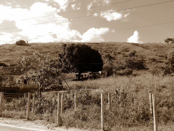 Scenic view of field against sky