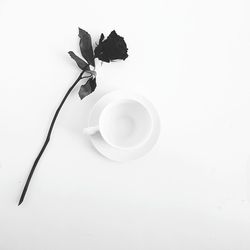 Close-up of white flower on table