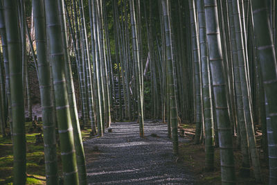 Enko-ji at kyoto, japan