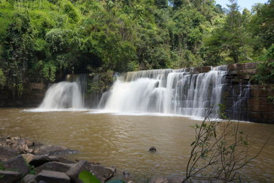 Scenic view of waterfall in forest