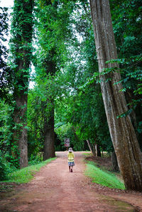 Girl standing on road amidst trees