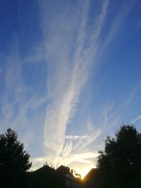 Low angle view of silhouette trees against sky