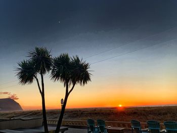 Silhouette palm trees on beach against sky at sunset