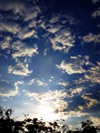 Low angle view of silhouette trees against sky