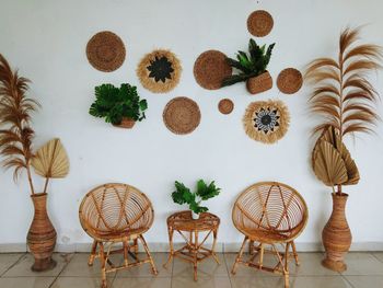 Potted plants on table against wall at home