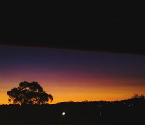 Silhouette trees against clear sky at night