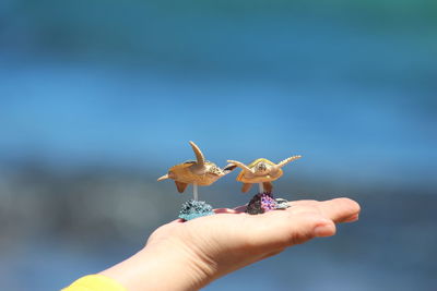 Close-up of hand holding insect against sky