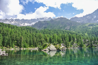 Scenic view of lake by trees against sky