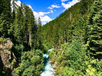 Scenic view of waterfall in forest against sky