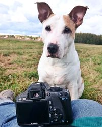 Close-up portrait of dog with camera while sitting on field