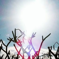 Low angle view of trees against sky