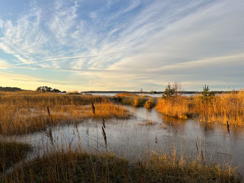 Scenic view of lake against sky