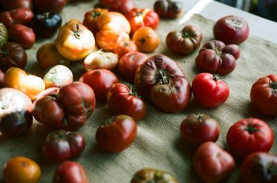 High angle view of tomatoes on table