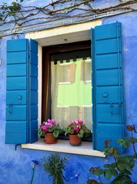 Potted plants on window of building