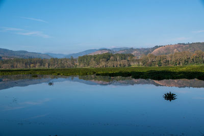 Floating plants on lake, mountains reflected in lake, beautiful view