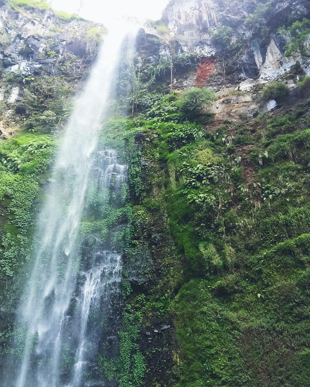 WATERFALL IN FOREST