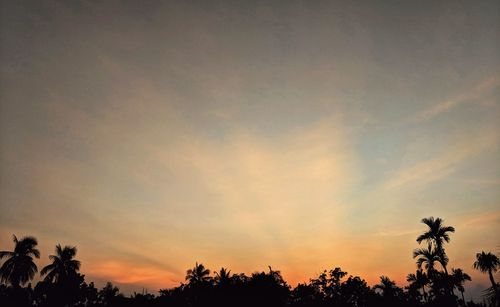 Low angle view of silhouette trees against sky during sunset