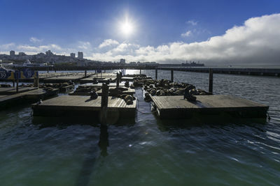 Pier on sea against sky