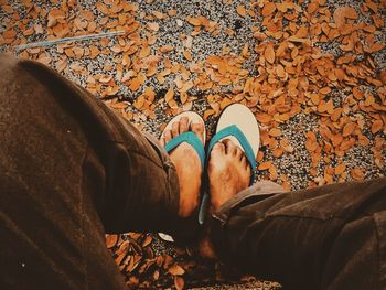 Low section of man sitting on leaves covered footpath