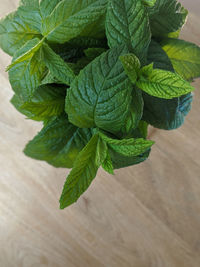 High angle view of leaves on table