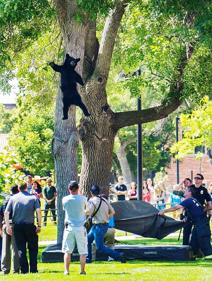 University of Colorado Boulder