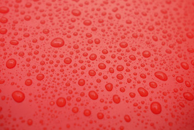 Drops of water on a color background.red toned.