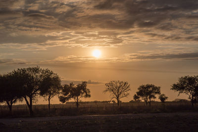 Trees on landscape against sunset sky