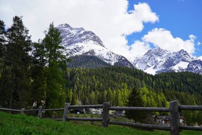 Scenic view of trees and mountains against sky