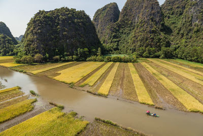 Scenic view of agricultural field