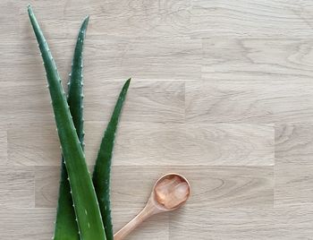 Fresh aloe vera leaves and aloe vera gel in wooden spoon, aloe vera on wooden floor.