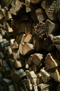 Full frame shot of logs in forest