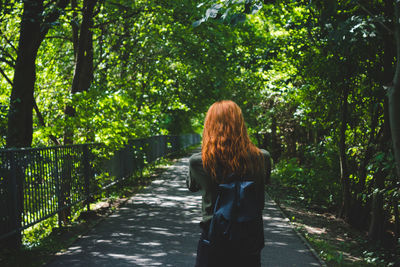 Rear view of woman standing amidst trees