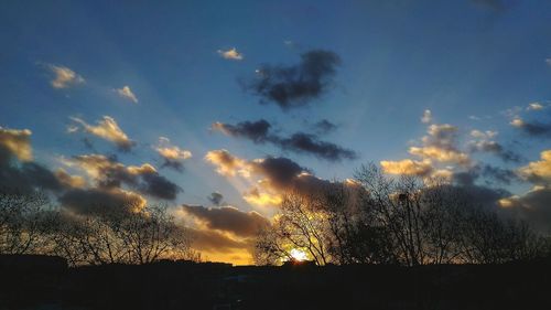 Low angle view of silhouette trees against sky at sunset