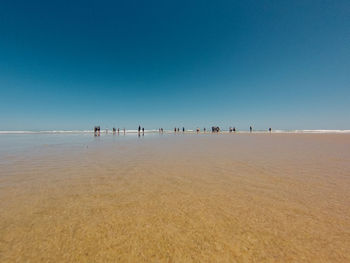 Scenic view of beach against clear blue sky