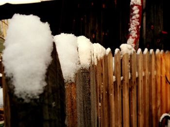 Close-up of wooden door