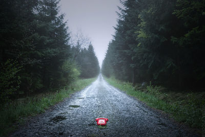 Road amidst trees in forest