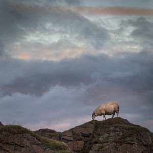 View of a rock