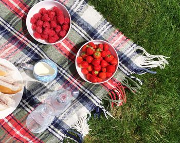 High angle view of berries in containers on picnic blanket at field
