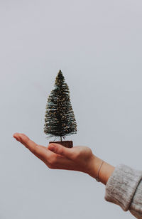 Cropped hand holding plant against white background