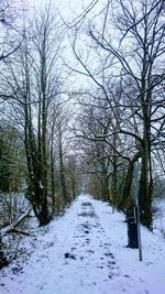 Snow covered bare trees against sky