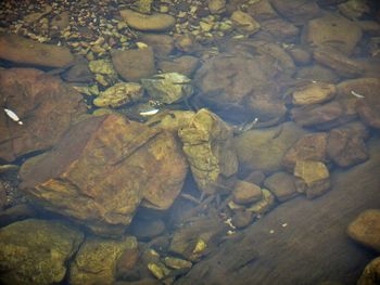 Full frame shot of water