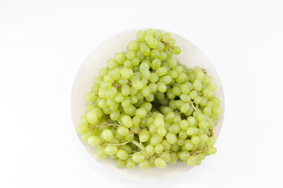 High angle view of fruits in bowl against white background