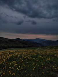 Scenic view of field against sky during sunset