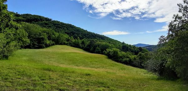 Mountain scene 