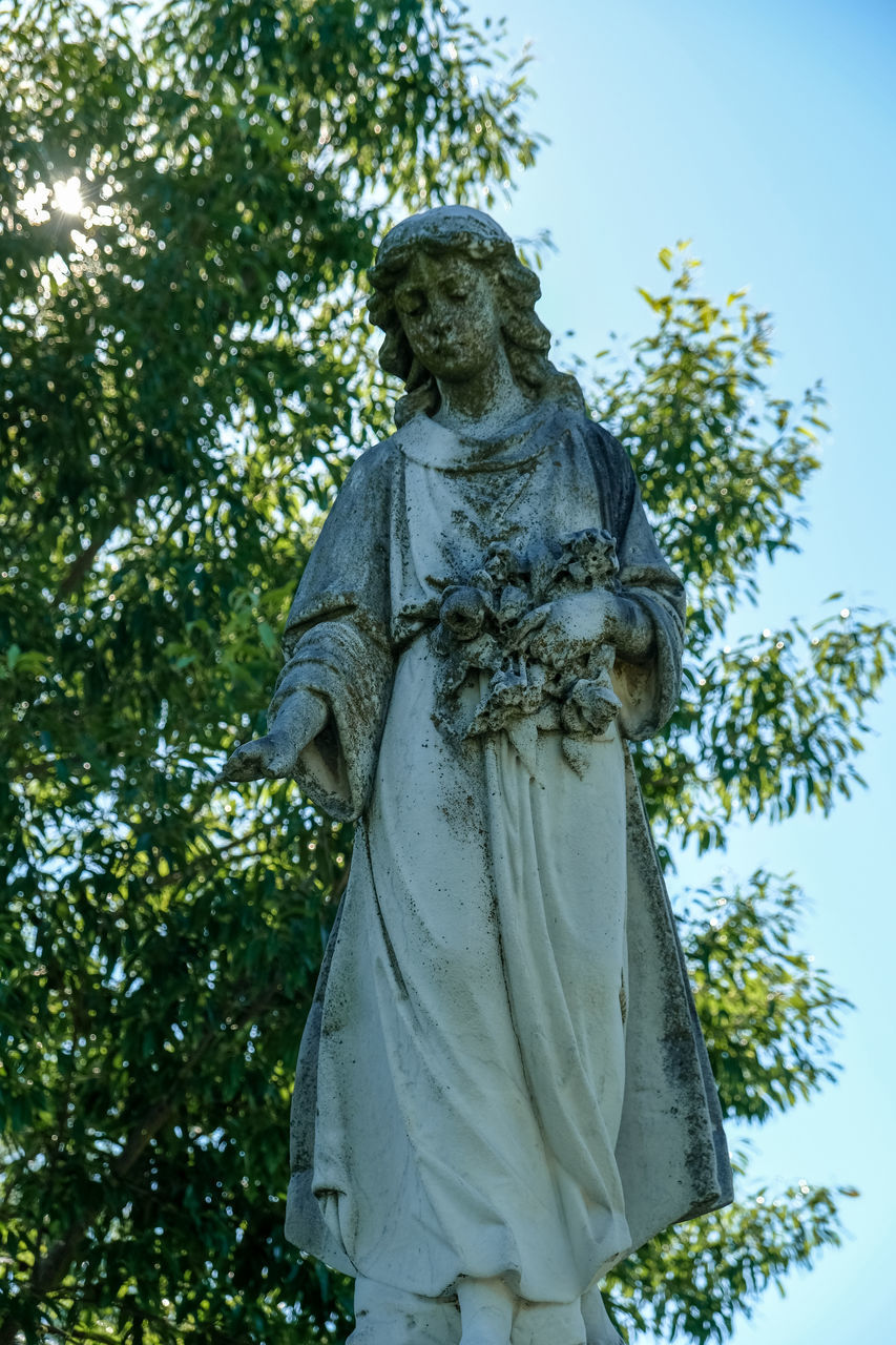 LOW ANGLE VIEW OF STATUE AGAINST TREE