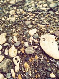 High angle view of stones on shore