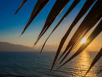 Scenic view of sea at sunset