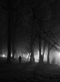 Silhouette man standing in forest at night